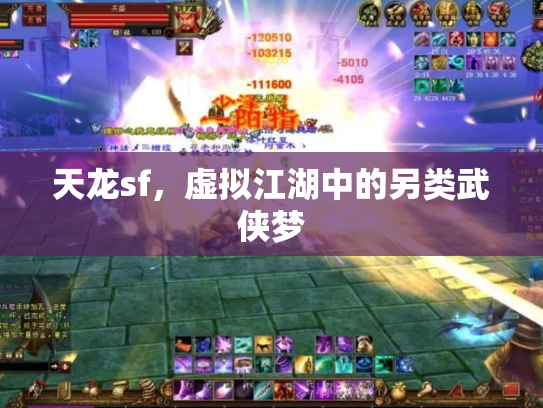 天龙sf，虚拟江湖中的另类武侠梦