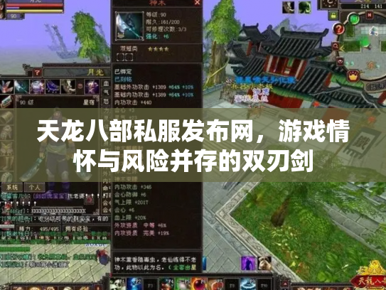 天龙八部私服发布网，游戏情怀与风险并存的双刃剑