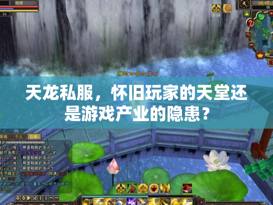 天龙私服，怀旧玩家的天堂还是游戏产业的隐患？