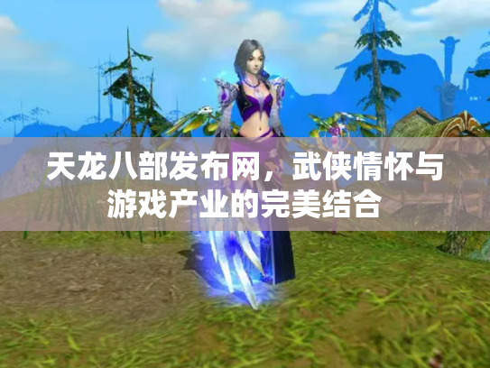 天龙八部发布网，武侠情怀与游戏产业的完美结合