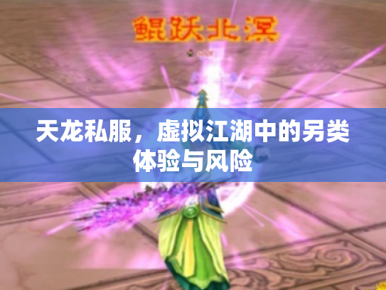 天龙私服，虚拟江湖中的另类体验与风险