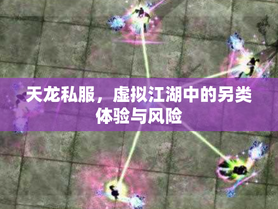 天龙私服，虚拟江湖中的另类体验与风险