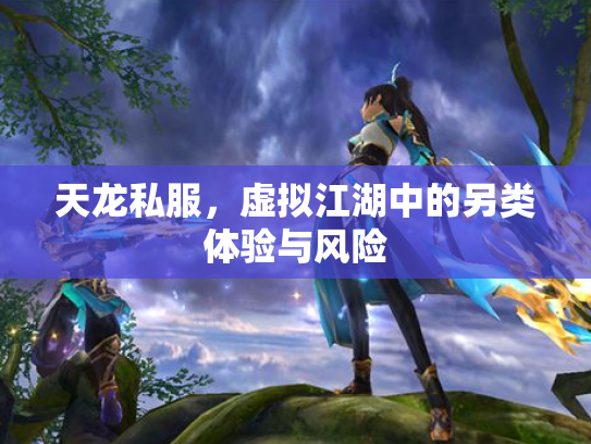 天龙私服，虚拟江湖中的另类体验与风险