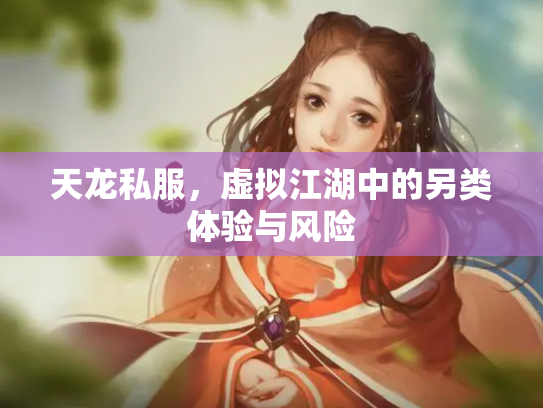 天龙私服，虚拟江湖中的另类体验与风险