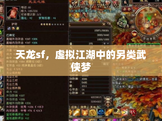天龙sf，虚拟江湖中的另类武侠梦