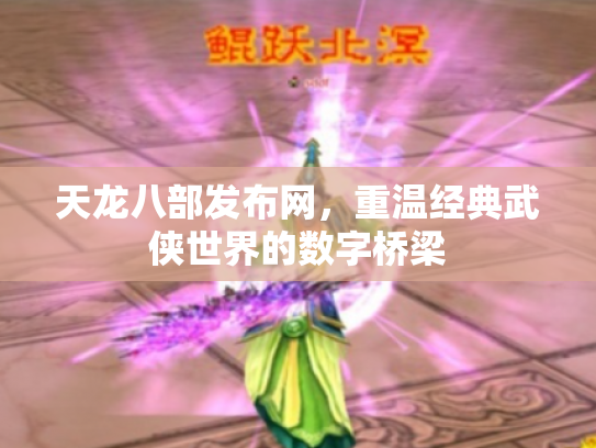 天龙八部发布网，重温经典武侠世界的数字桥梁