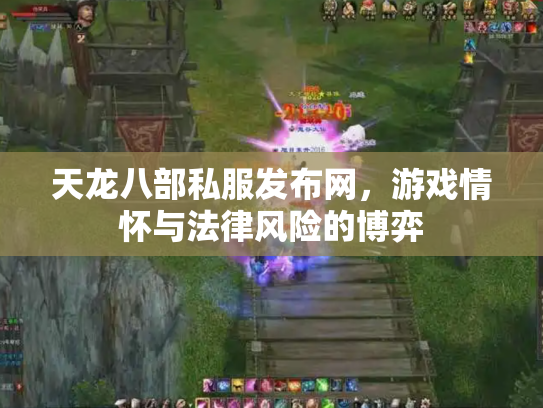 天龙八部私服发布网，游戏情怀与法律风险的博弈
