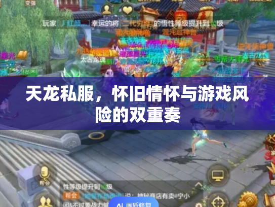 天龙私服，怀旧情怀与游戏风险的双重奏