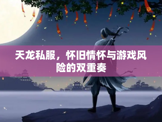 天龙私服，怀旧情怀与游戏风险的双重奏