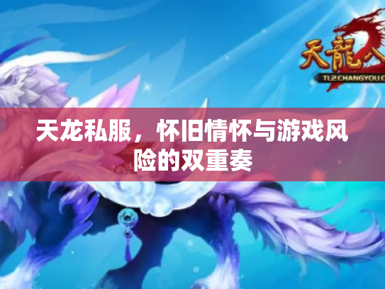 天龙私服，怀旧情怀与游戏风险的双重奏
