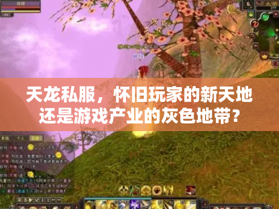 天龙私服，怀旧玩家的新天地还是游戏产业的灰色地带？
