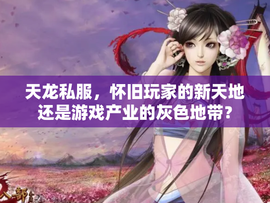 天龙私服，怀旧玩家的新天地还是游戏产业的灰色地带？