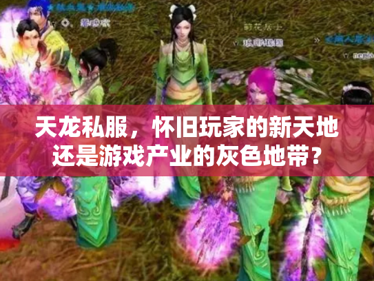 天龙私服，怀旧玩家的新天地还是游戏产业的灰色地带？