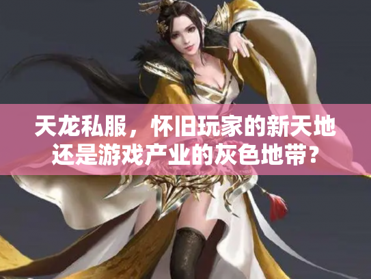 天龙私服，怀旧玩家的新天地还是游戏产业的灰色地带？