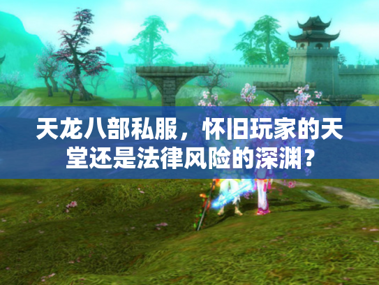 天龙八部私服，怀旧玩家的天堂还是法律风险的深渊？