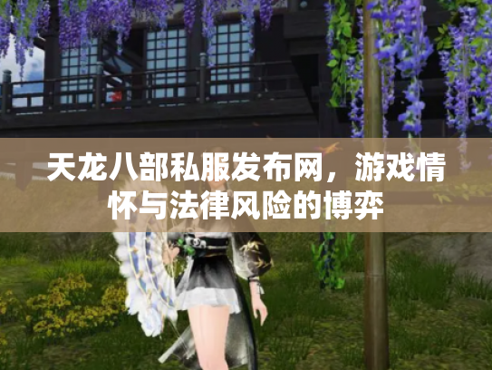 天龙八部私服发布网，游戏情怀与法律风险的博弈