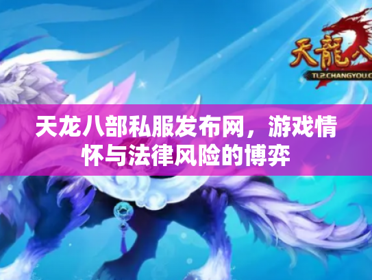 天龙八部私服发布网，游戏情怀与法律风险的博弈