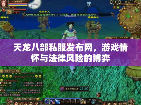 天龙八部私服发布网，游戏情怀与法律风险的博弈