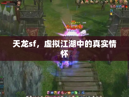 天龙sf，虚拟江湖中的真实情怀
