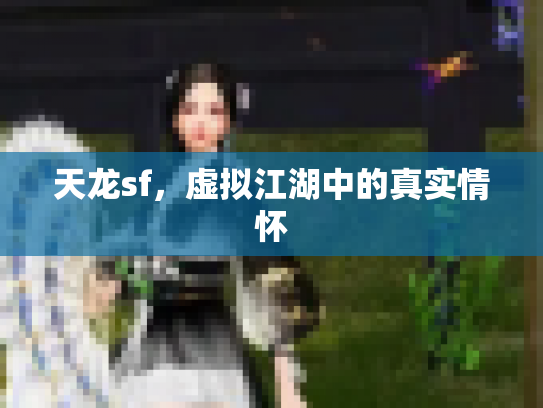 天龙sf，虚拟江湖中的真实情怀