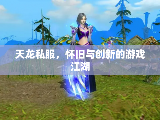 天龙私服，怀旧与创新的游戏江湖