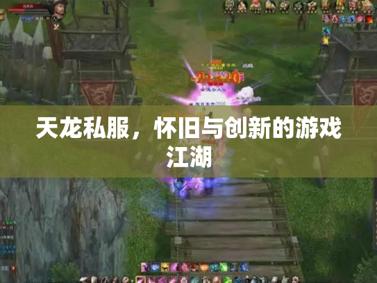 天龙私服，怀旧与创新的游戏江湖