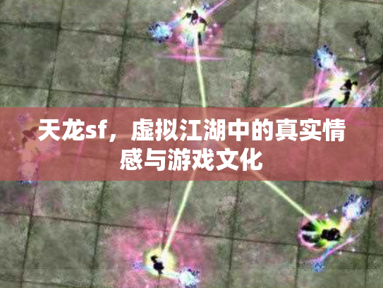 天龙sf，虚拟江湖中的真实情感与游戏文化