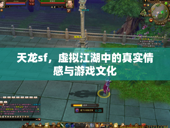 天龙sf，虚拟江湖中的真实情感与游戏文化
