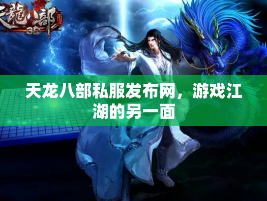 天龙八部私服发布网，游戏江湖的另一面