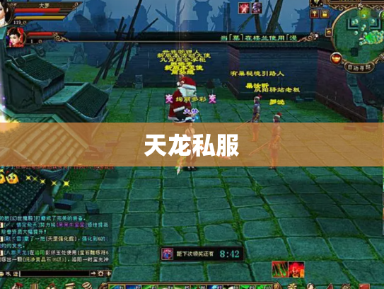 天龙私服