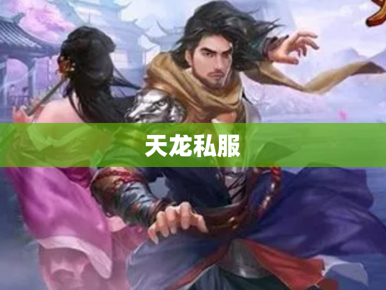 天龙私服