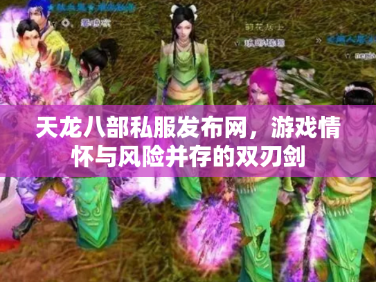 天龙八部私服发布网，游戏情怀与风险并存的双刃剑