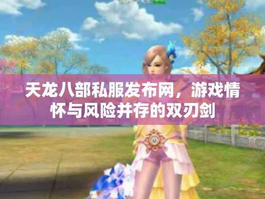 天龙八部私服发布网，游戏情怀与风险并存的双刃剑