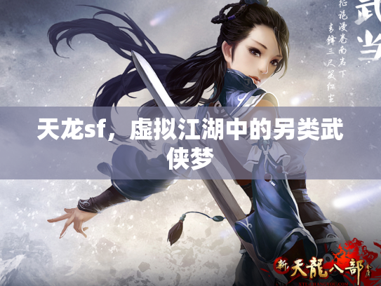 天龙sf，虚拟江湖中的另类武侠梦