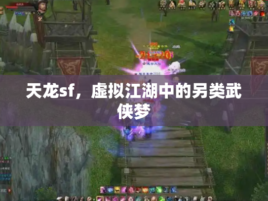 天龙sf，虚拟江湖中的另类武侠梦