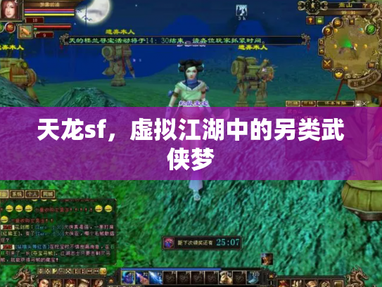 天龙sf，虚拟江湖中的另类武侠梦