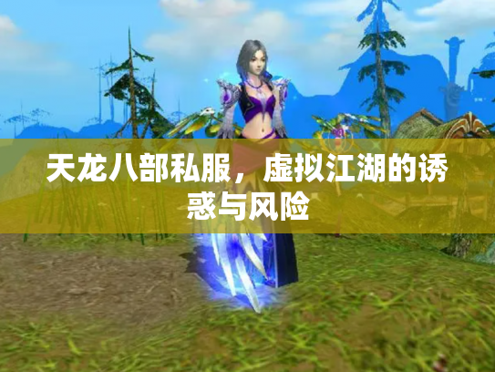 天龙八部私服，虚拟江湖的诱惑与风险
