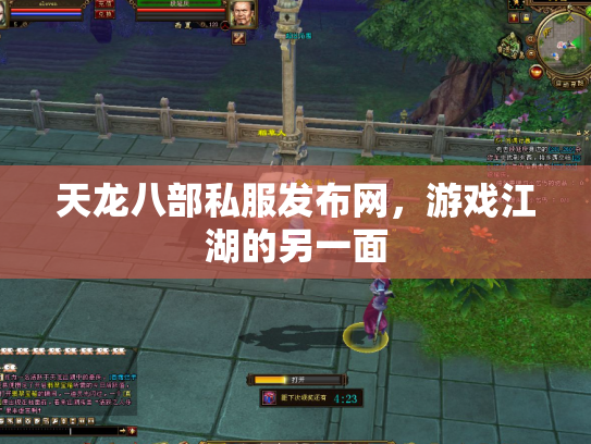 天龙八部私服发布网，游戏江湖的另一面