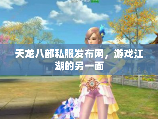 天龙八部私服发布网，游戏江湖的另一面