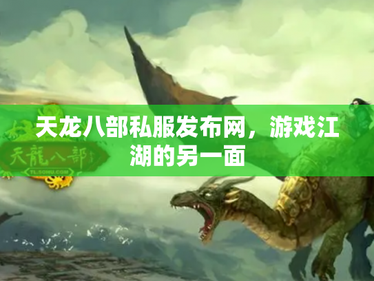 天龙八部私服发布网，游戏江湖的另一面