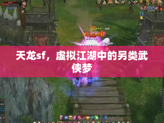 天龙sf，虚拟江湖中的另类武侠梦