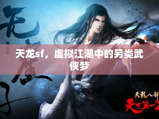 天龙sf，虚拟江湖中的另类武侠梦