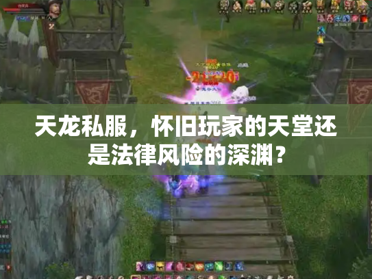 天龙私服，怀旧玩家的天堂还是法律风险的深渊？