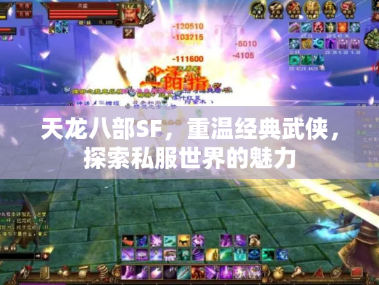 天龙八部SF，重温经典武侠，探索私服世界的魅力