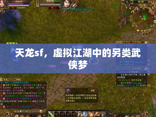 天龙sf，虚拟江湖中的另类武侠梦
