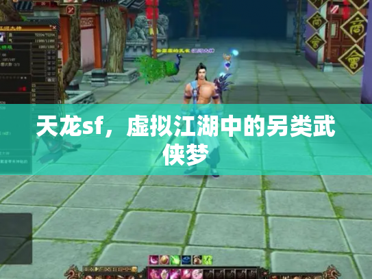 天龙sf，虚拟江湖中的另类武侠梦