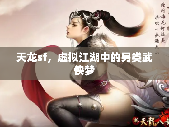 天龙sf，虚拟江湖中的另类武侠梦