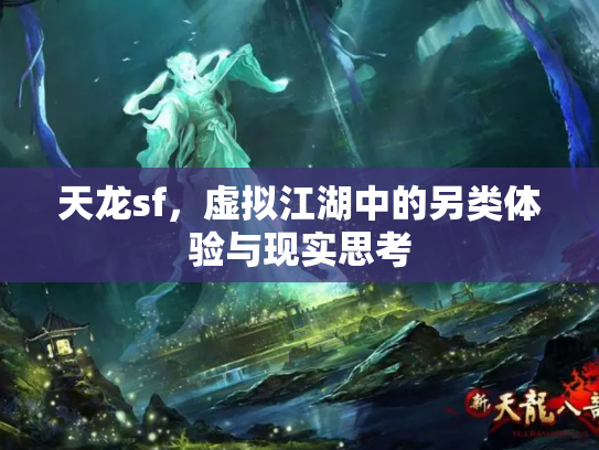 天龙sf，虚拟江湖中的另类体验与现实思考