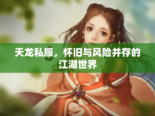 天龙私服，怀旧与风险并存的江湖世界