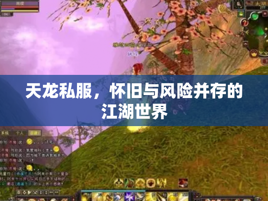 天龙私服，怀旧与风险并存的江湖世界